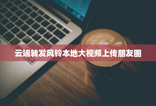 <strong>云端转发</strong>风铃本地大视频上传朋友圈