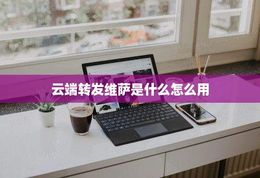 <strong>云端转发</strong>维萨是什么怎么用