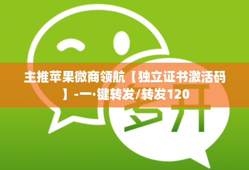 主推苹果微商领航【独立证书激活码】-一·键转发/转发120