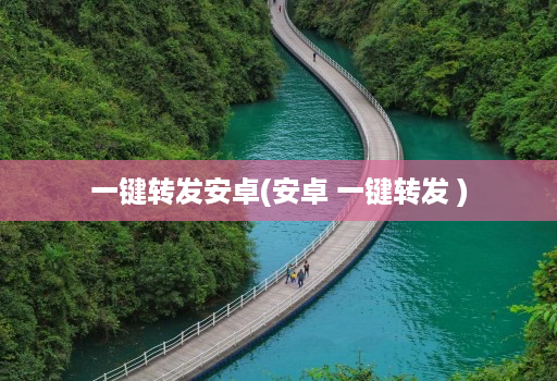 一键转发安卓(安卓 一键转发 )