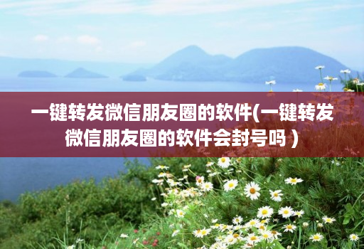 一键转发微信朋友圈的软件(一键转发微信朋友圈的软件会封号吗 )