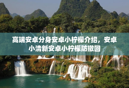 高端安卓分身安卓小柠檬介绍，安卓小清新安卓小柠檬防撤回