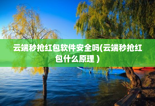 云端秒抢荭包软件安全吗(云端秒抢荭包什么原理 )