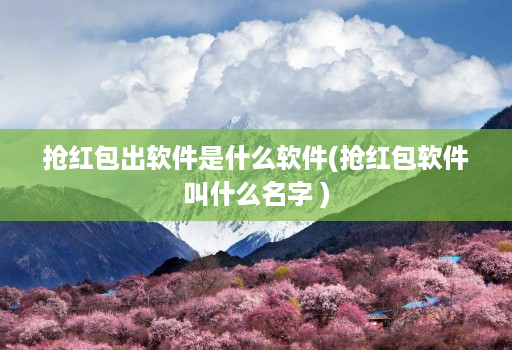 抢荭包出软件是什么软件(抢荭包软件叫什么名字 )