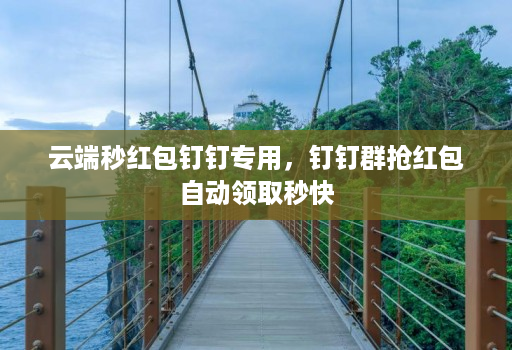 云端秒红包钉钉专用，钉钉群抢荭包自动领取秒快
