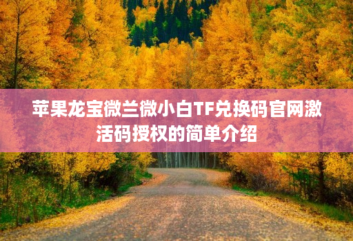 <strong>苹果</strong>龙宝微兰微小白tf兑换码j9九游会登陆入口官网激活码授权的简单介绍
