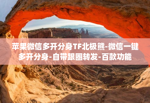 苹果维信哆开分身tf北极熊-微信一键多开分身-自带跟圈转发-百款功能