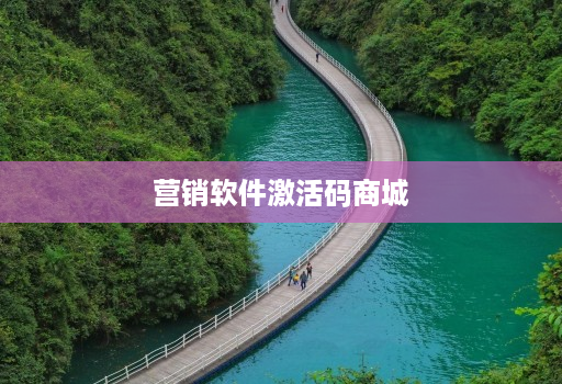营销软件激活码商城 营销软件激活码商城
