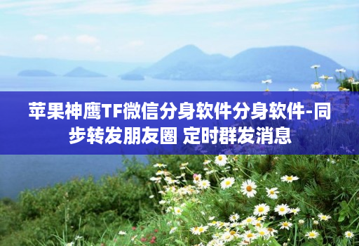苹果神鹰tf微信分身软件分身软件-同步转发朋友圈 定时群发消息